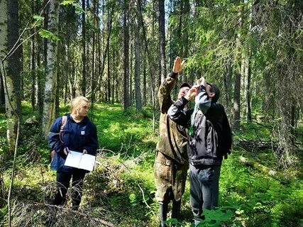 Архангельское лесничество