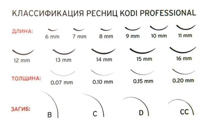 Классификация нарощенных ресниц по изгибу. Изгибы длины и толщина ресниц для наращивания. Толщина нарощенных ресниц 0,12. Длины изгибы толщина нарощенных ресниц. Разные изгибы ресниц