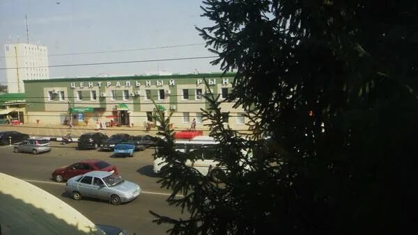 Поселок лиски воронежская область магазины бытовой техники. Центральный рынок лиски. Центральный рынок продуктовый. Центральный ранок лиски. Муп центральный рынок лиски.