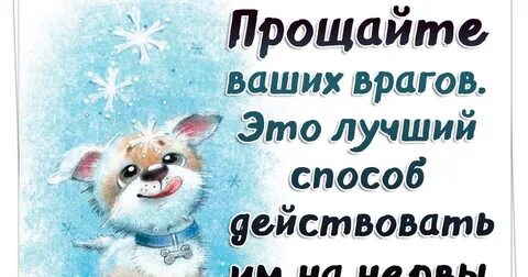 Прощение врага