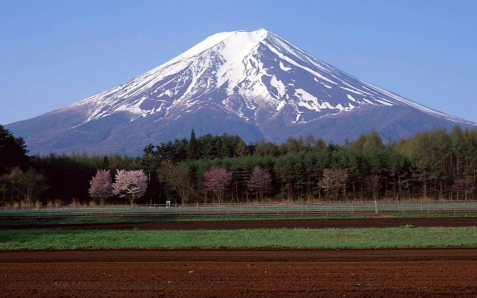 Гора Фудзияма в Японии. Фудзи-Сан - Священная гора японцев. Гора Fuji Япония. Гора Фудзи это вулкан. Фудзияма действующий или потухший