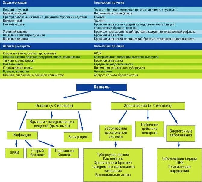 Сколько кашель при орви. Причины кашля у ребенка. Причины возникновения кашля у детей. Типы кашля у взрослых. Виды сухого кашля у взрослых.