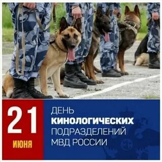 Сколько лет кинологической службе в 2024