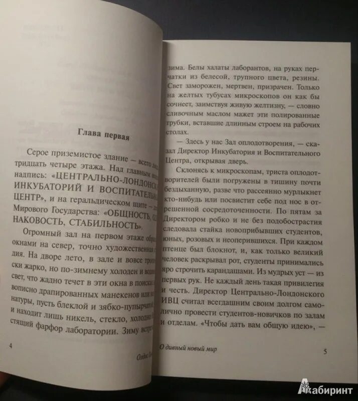 О дивный новый мир Олдос Хаксли книга. Мировое государство о дивный новый мир. О дивный новый мир Инкубаторий. Хаксли о дивный новый краткое содержание