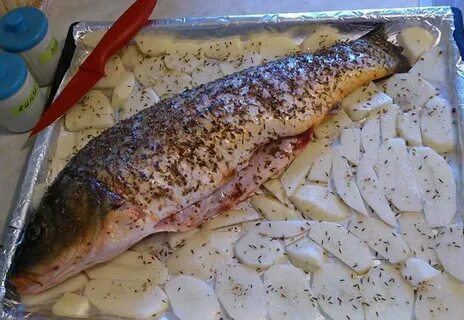 Вкусное приготовление сазана