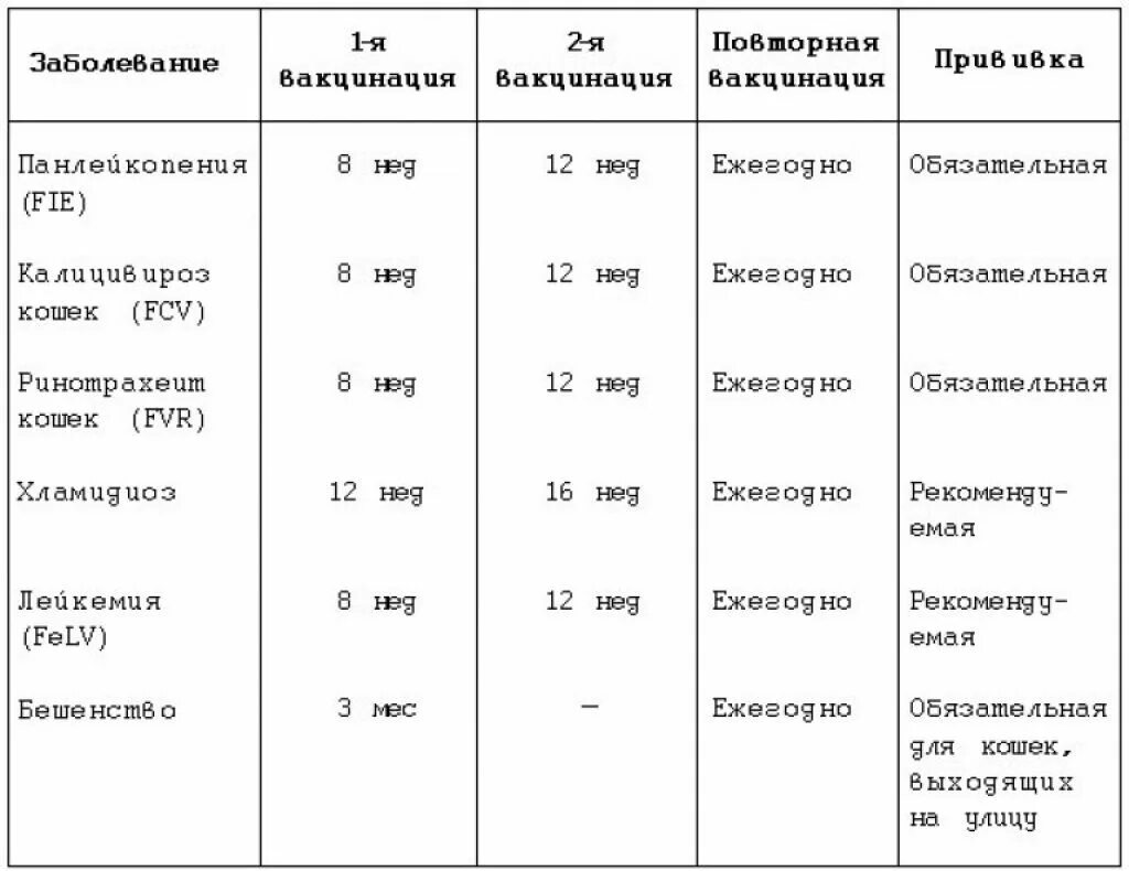 Какие прививки делают котятам в 2 месяца. Какиепривифка нужно ставить коту. Схема прививки котят. Прививки котятам по возрасту. Со скольки можно ставить прививку