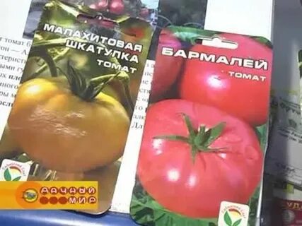 Томаты сибирская коллекция