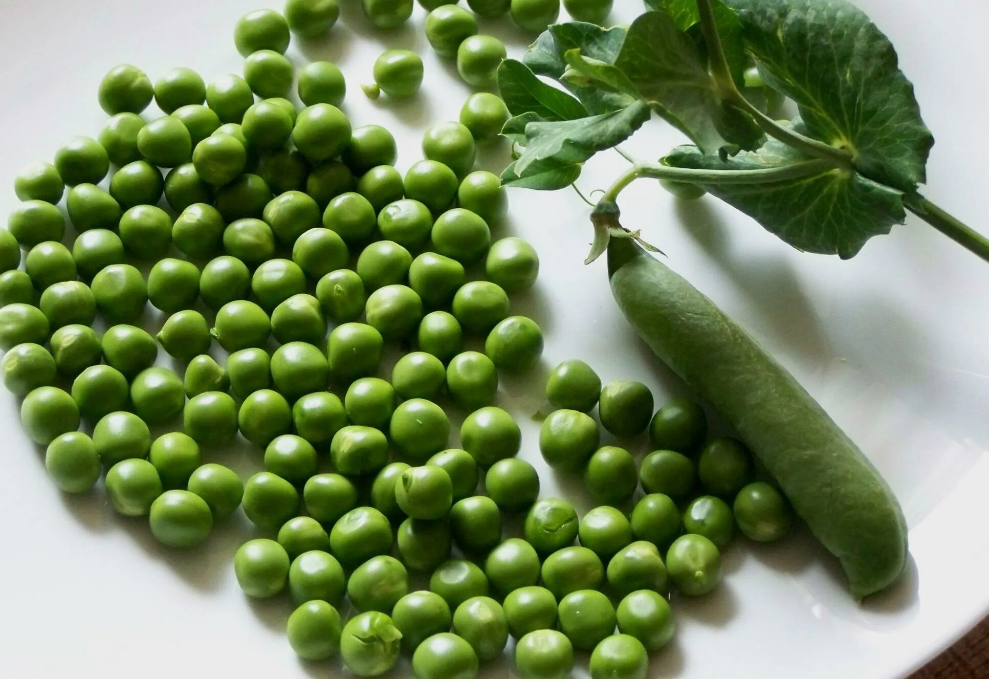 Горошек консервированный на тарелке. Горошек dworek зеленый 212мл. Гаришек. Зеленый горошек грин. С днем зеленого горошка.