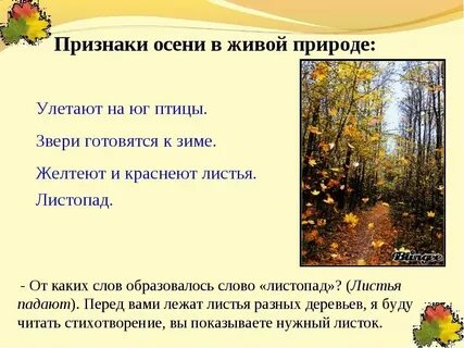 Сообщение об изменении природы осенью
