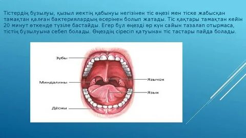 Жасырын камера тай порно массажы