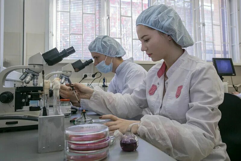 Новосибирск медицинский после 9 класса. Нхтк новосибирский химико-технологический. химико-технологический колледж им менделеева. новосибирский колледж имени менделеева. химико-технологическом колледже имени д.и. менделеева, новосибирск.