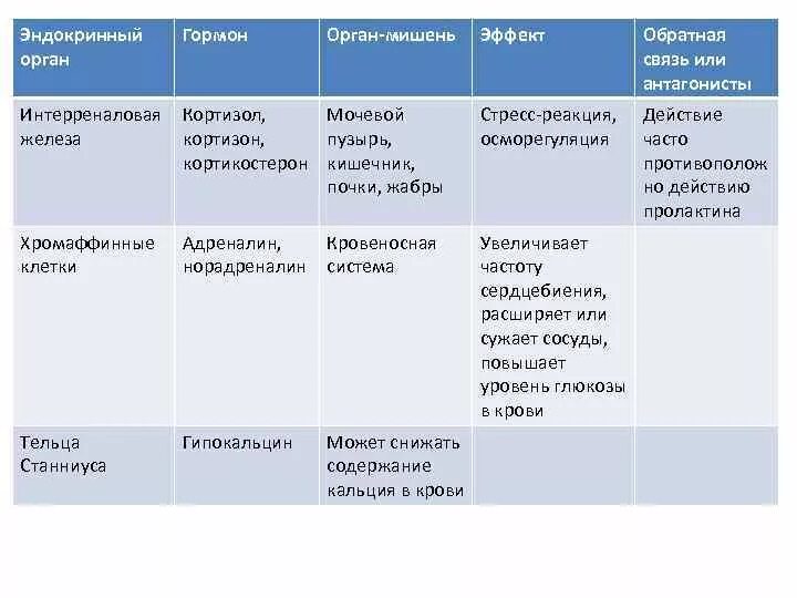 Клетки органы мишени. Органы мишени гормонов. Эндокринные железы гормоны органы мишени. Кортизол органы мишени. Основные клетки мишени кортизола.