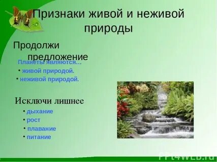 Признаки неживого 5 класс