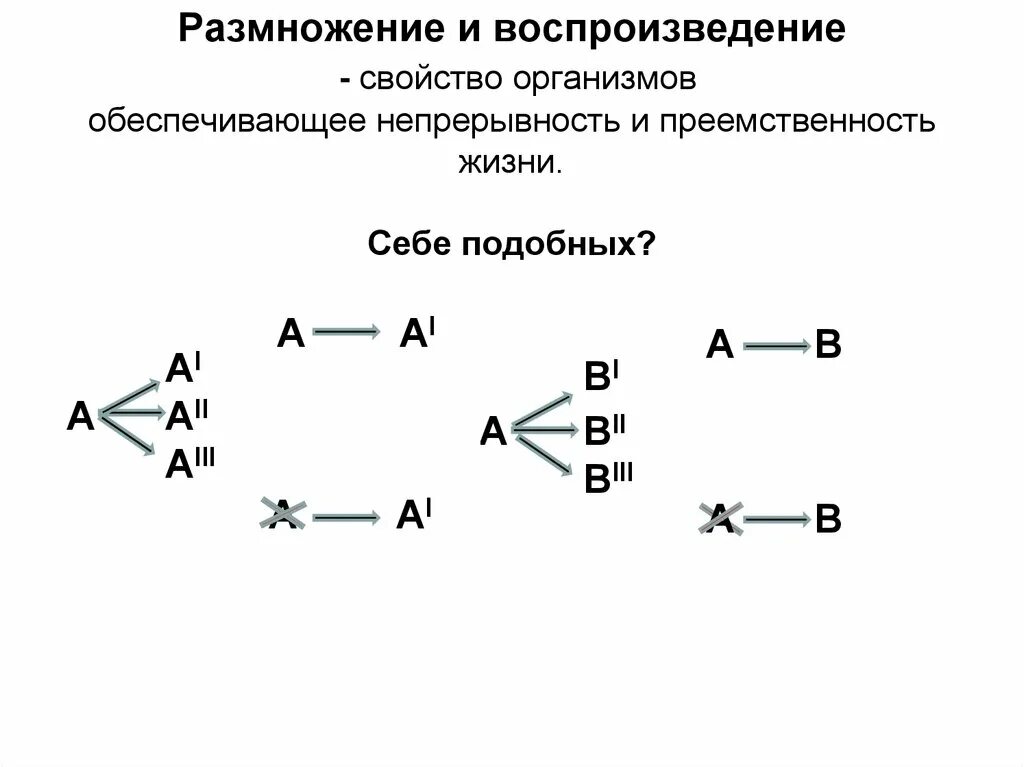 Процесс размножения это воспроизведение себе. Процесс размножения это воспроизведение себе