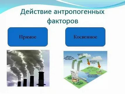 Примеры прямых факторов