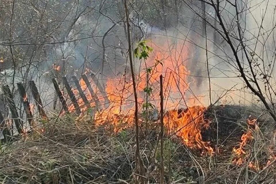 Маи сгорело. Земля после пожара. Пожар в доме. Пожар на даче. Пожар фото.