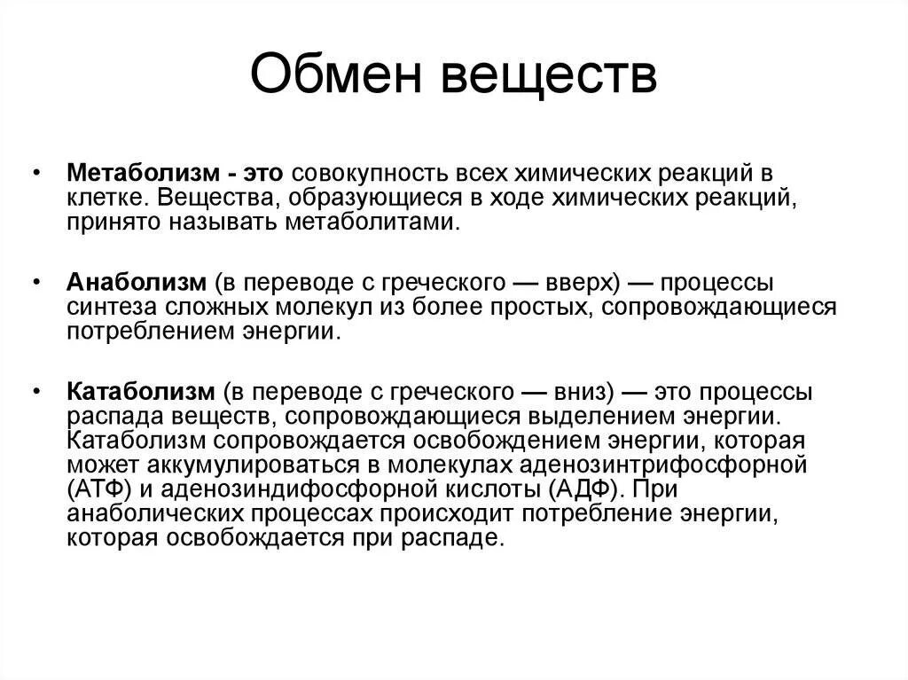 Метаболизм это простыми словами у женщин. Обмен веществ. Чточто такое обмен веществ. Обмен веществ человека. Обмен веществ это процесс.