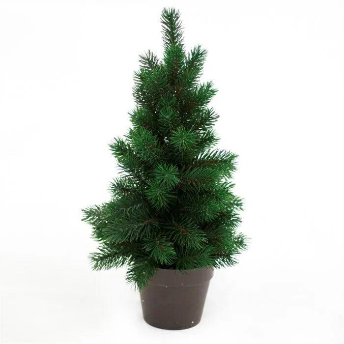 елочка в горшке. низкие елочки. 5. миниатюрная искусственная елка. сеянцы ель коника.