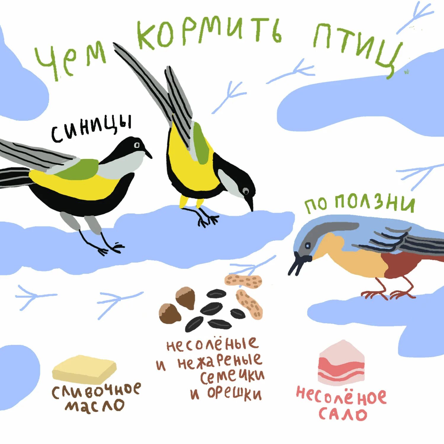 Что нужно птицам зимой. Корм для зимующих птиц. чем кормить птиц зимой. подкармливать птиц. картинка чем лучше подкармливать птиц.