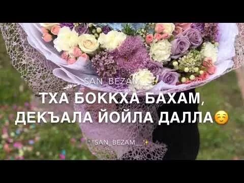 Нена йиша декъал йойла. Нен йиш декъал еш дешнаш. йо1 декъал еш йинчу денца нанас.