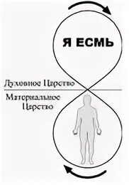 Вид присутствие