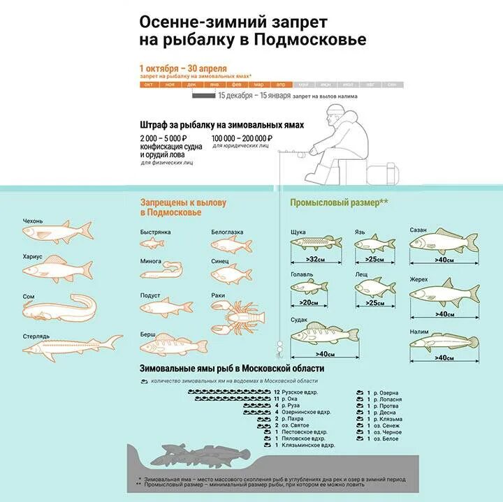 Размеры рыб можно ловить. Рыбные места в Подмосковье. Места рыбной ловли в Подмосковье на карте. Рыбалка в Подмосковье карта. Места где можно ловить рыбу.