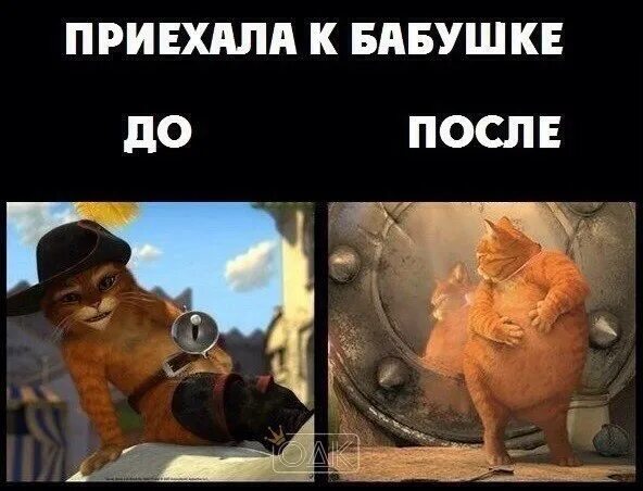 Когда отправили к бабушке. Внуки у бабушки в гостях. Бабушка приехала. После бабушки. Съездил к бабушке.