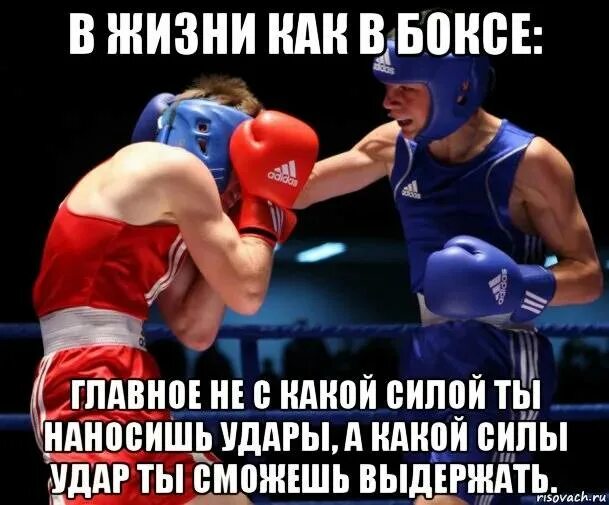 Наносят ли удары сегодня. Мемы про бокс. В жизни как в боксе главное не. Боксирует Мем. Что главное в боксе.