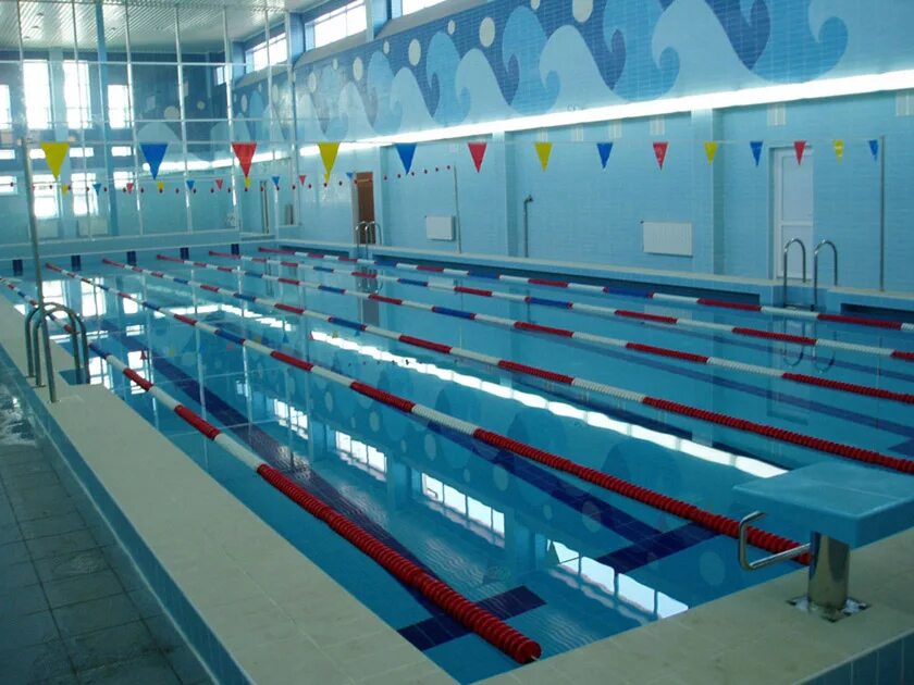 Бассейн в школе клявлино. 531 школа бассейн. Бассейн в школе 531 на осипенко. 31 школа сургут бассейн. В какой школе есть бассейн.
