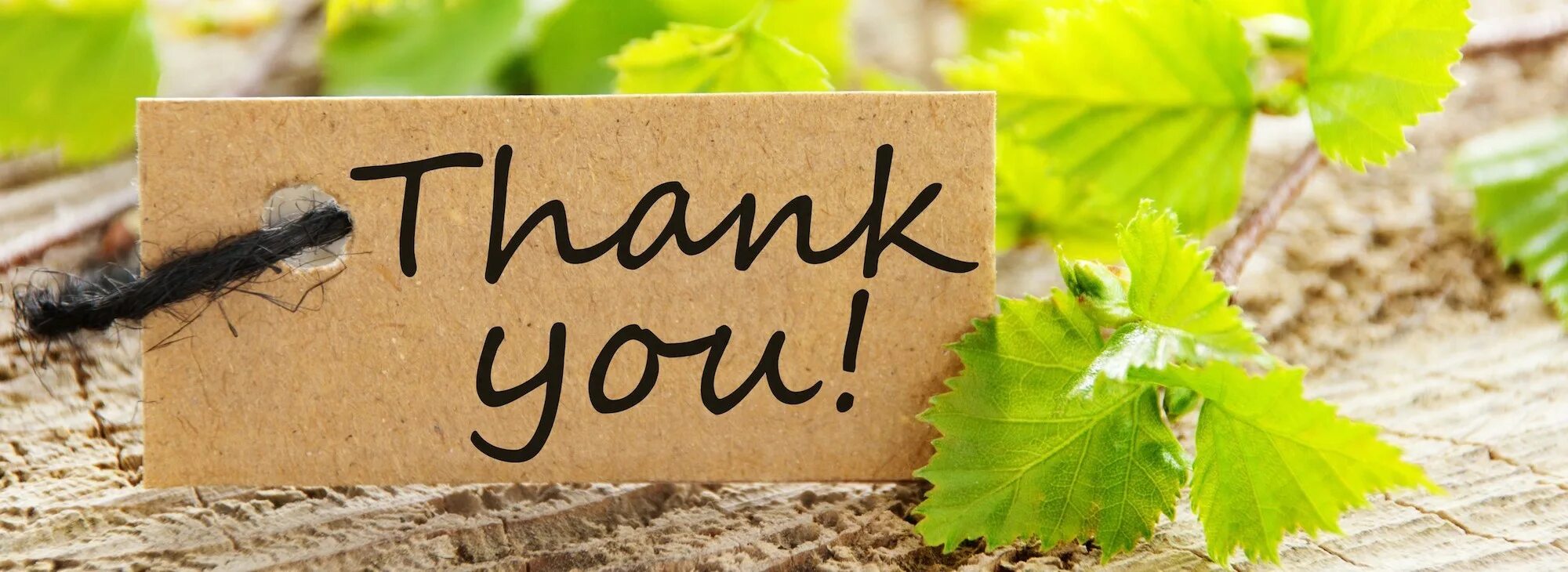 Thank you enjoy. Thank you. thank you фото. thank you фон. спасибо за внимание для презентации.
