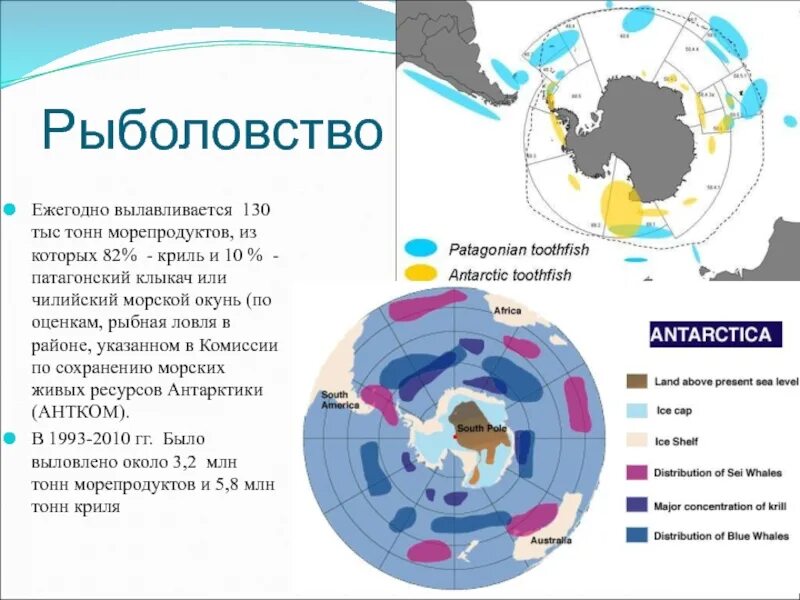 Южный океан таблица