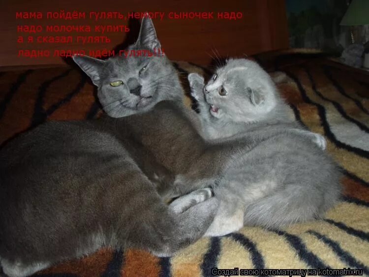 Ладно храни свои секреты. Ладно ладно. Ладно читать. Алиэкспресский язык прикол. Сказки жукова.