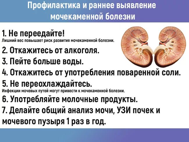 Сколько лечат почки