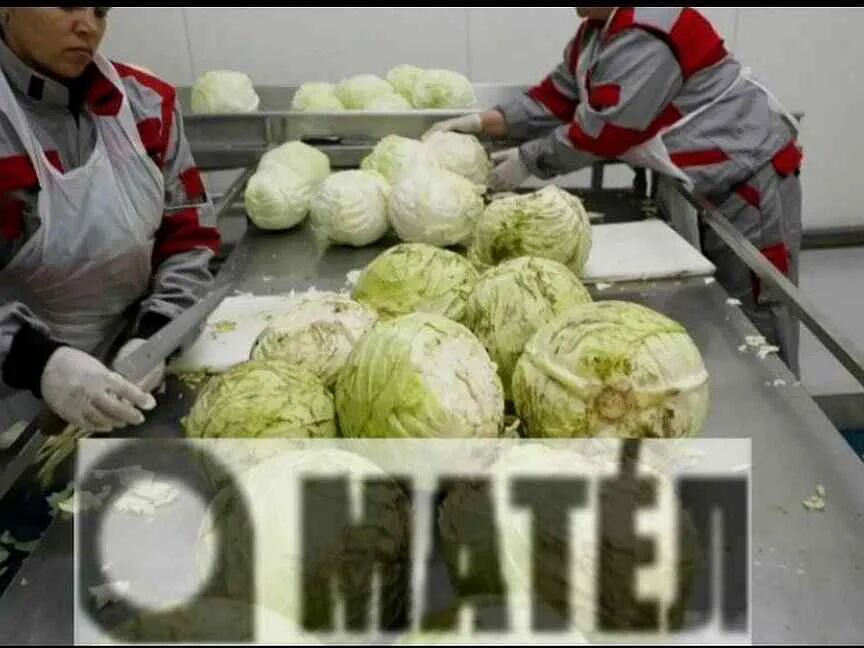 Авито белгород работа вакансии повар. Город шебекино улица московская 16а. Работа в шебекино свежие вакансии. Подработка в шебекино. Доска объявлений шебекино.