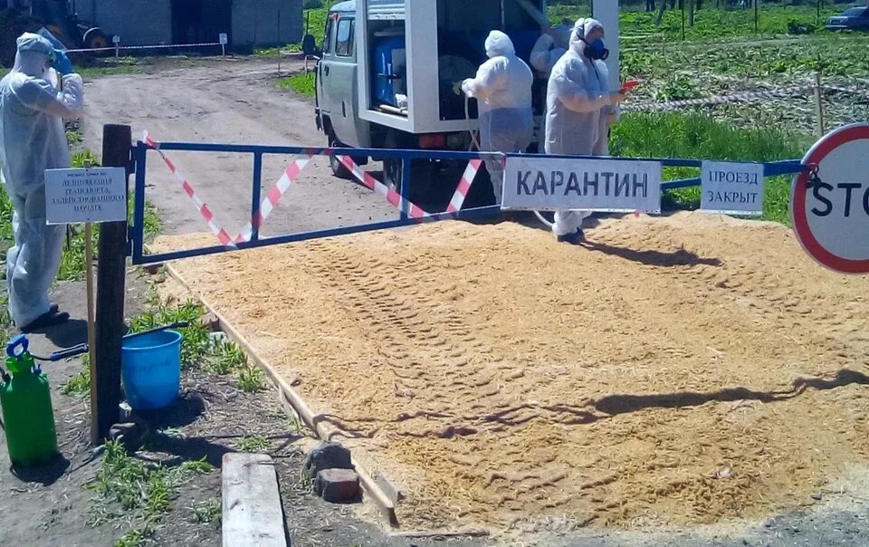 Ачс в краснодарском крае 2025