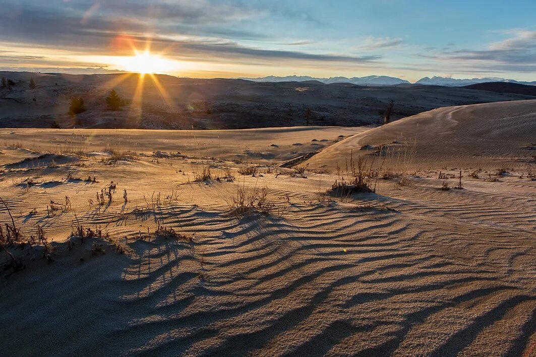 забайкальская пустыня чарские пески
