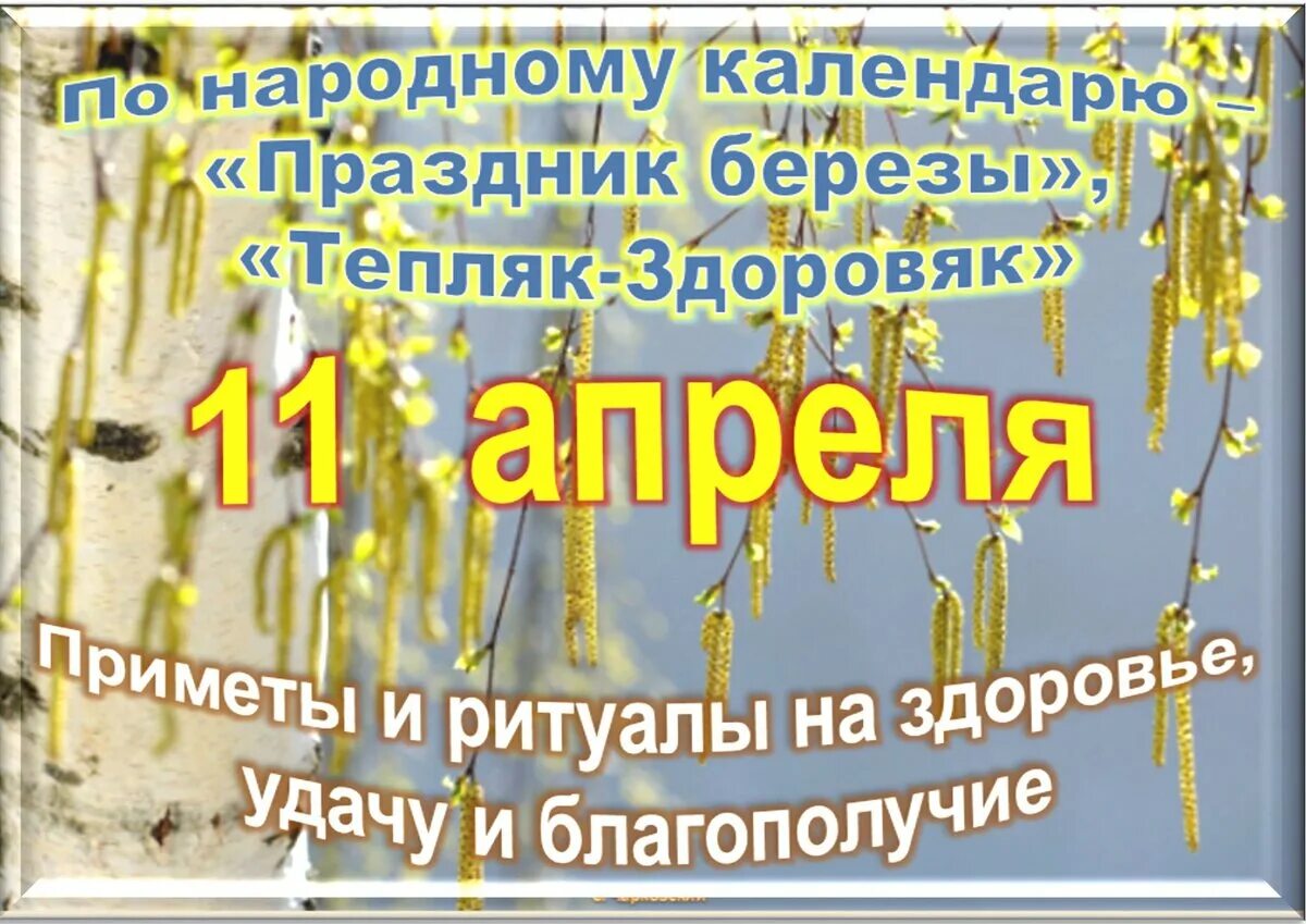 11 апреля какой праздник в россии. 11 Апреля праздник. 11 Апреля праздник по народному календарю. 11 Апреля праздник Берещенье. Какой сегодня праздник 11 апреля.