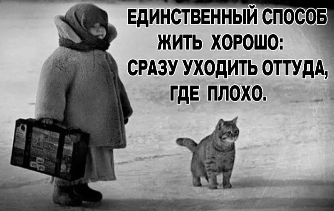 Удачно вошел
