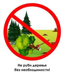 Условные знаки сообщества леса