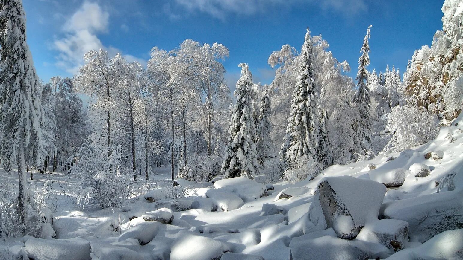 Холодный зимний пейзаж. Зима в России. Суровая зима. Белоснежная зима. Cold and snowy