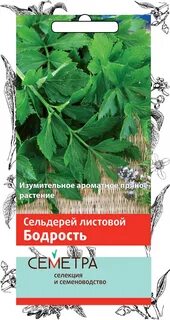 Сельдерей бодрость листовой