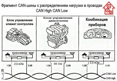 Кан шина это