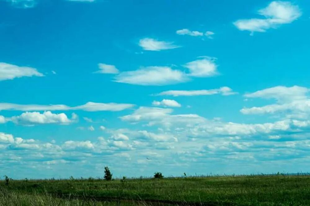 перисто кучевые. небо. снеговые тучи. лунное затмение. движение солнца по небосводу.