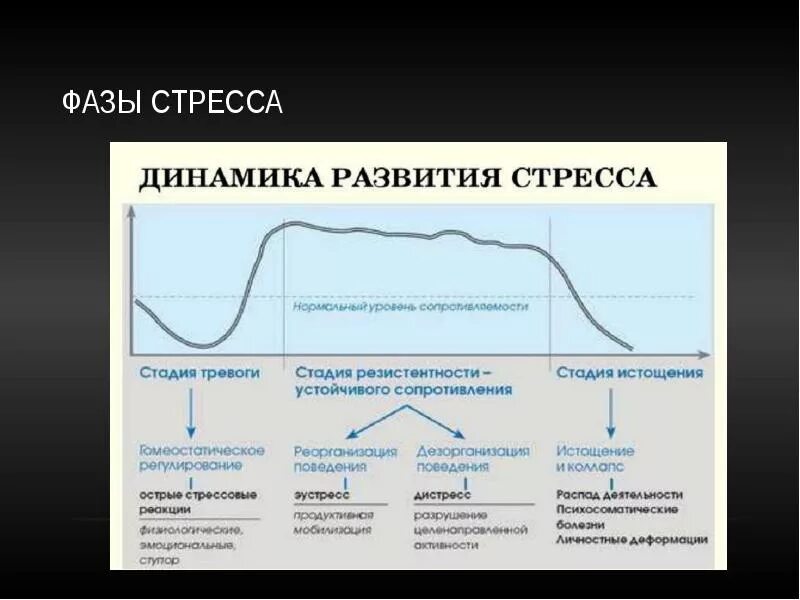 Выберите стадии стресса. Основные периоды стрессовых состояний и их характеристика. Динамика профессионального стресса презентация. Стадии стресса в психологии. Этапы развития стресса на примере.