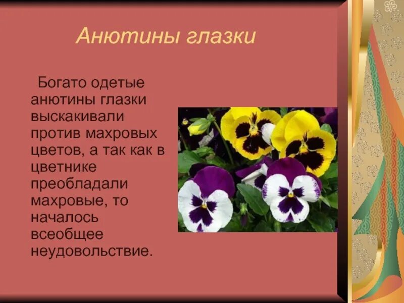 Анютины глазки почему. Анютины глазки. Анютины глазки Легенда. Цветок Анютины глазки описание. Анютины глазки рассказ.