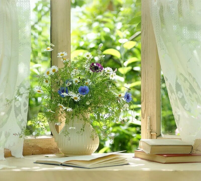 Включи лето окно. Природа за окном. Включи лето окно. Красивые окна. Открытое окно.