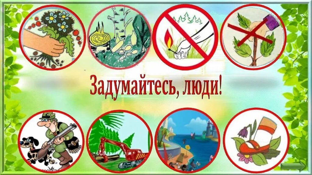 Правила эколога