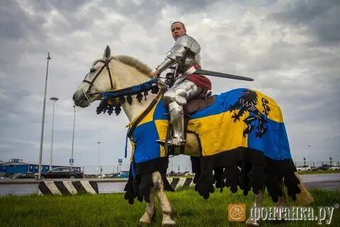 Коня сделал предложение