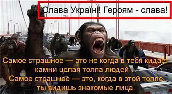 Вижу знакомый облик. Вижу знакомый облик