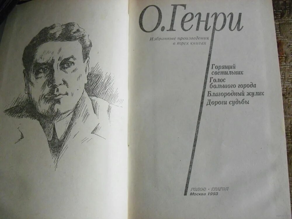 Жулик книга